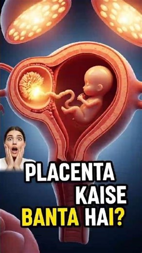 Placenta kaise Banta hai? #placenta#pregnancy #shorts