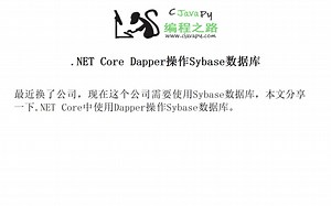 .NET Core Dapper操作Sybase数据库