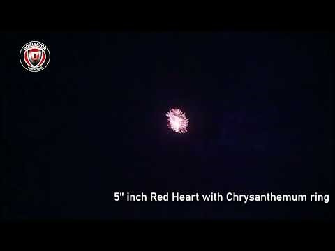 5inch Display shell-52 Red Heart with Chrysanthemum ring