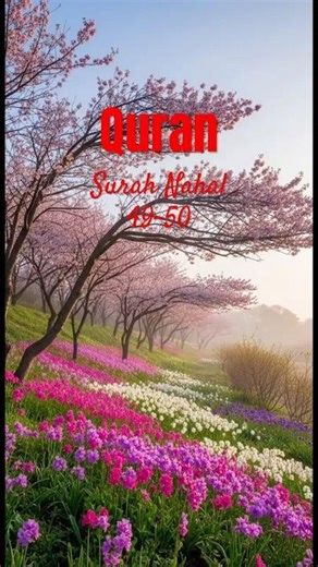 Surah Nahal 49-50 translation #quranictranslation #bayan #quraan #tarjumaequran #foryou