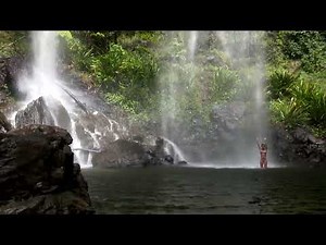 Springbrook and Tamborine National Park, Qld, Australia