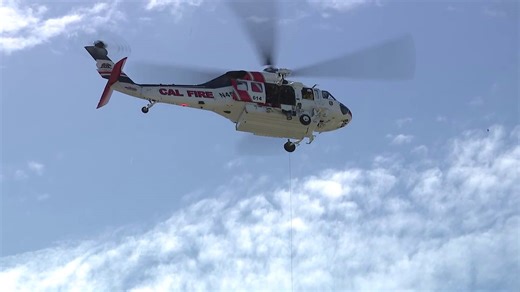 Cal Fire helicopter rescues worker stuck on palm tree in San Jose