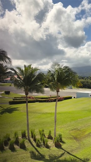 Sean Finter | My office for the day. | Instagram