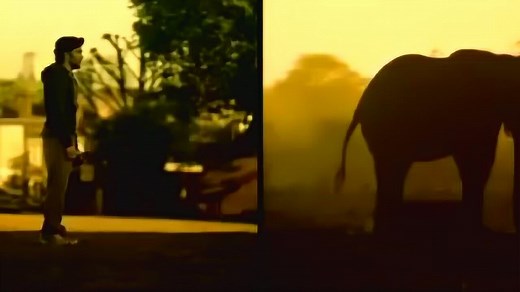 世界自然基金会WWF公益广告