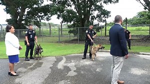 4.4K views · 36 reactions | Officials and residents welcomed four furry friends to the island during a presentation of Guam Customs' new K-9 dogs, who will be protecting our borders from the growing drug importation. | KUAM News | Facebook