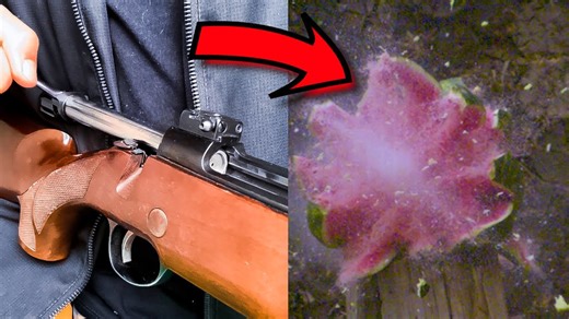 Esse 375 H&H MAGNUM desintegra tudo!!😵