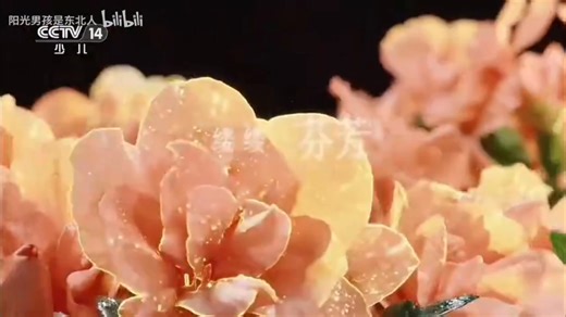 【广播电视】CCTV-14 收视指南（2025.8.3 21：48）