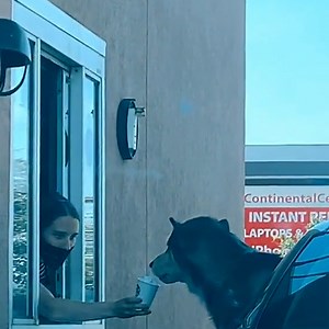 44K views · 256 reactions | You never know what you might see going though the Drive-Thru...磻 | FOODbible | Facebook