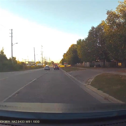 124K views · 402 reactions | #PleaseShare - The London Police Service Road Safety Section is appealing to the public for information in relation to this dangerous incident that took place the morning of September 16, 2025, on Pond Mills Road. If you have information, contact us at 519-661-5670 or submit an anonymous tip to London Middlesex Crimestoppers online or by calling 1-800-222-TIPS (8477). #LdnOnt #RoadSafety | London Police Service - Canada | Facebook