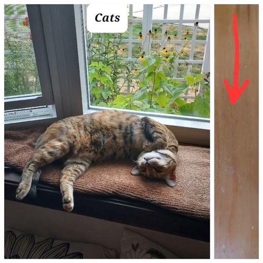 Like & Follow Request ;)