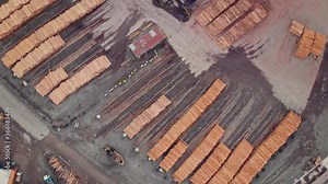 Stacked logs at a timber mill, Rotorua, New Zealand
