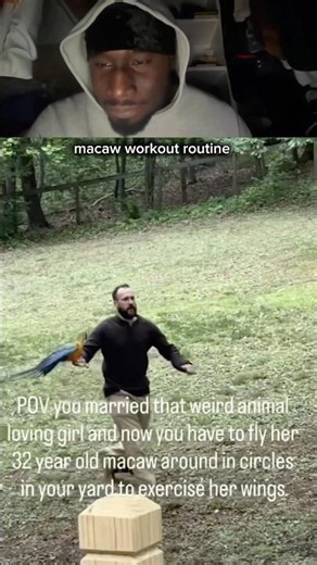 macaw workout routine