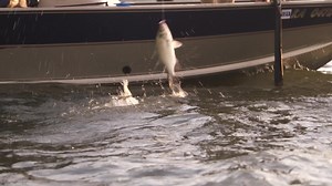 45 reactions · 5 comments | Who’s excited for spring fishing?   ‍♂️ ‍♀️ Buy a license now and get out on the water! | Kansas Department of Wildlife & Parks | Facebook