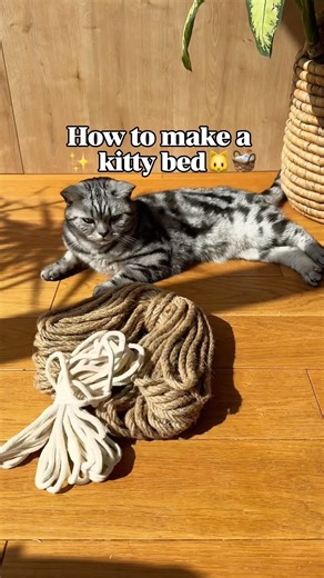Part 13: DIY cat bed. Would you try this for your cat too?🐱 Follow for more 🐈‍⬛ #cats #diy