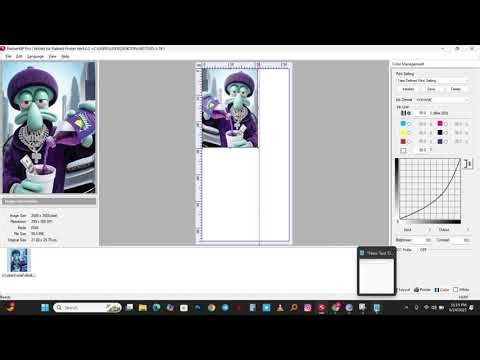 Setting Acrorip v9.3 for Epson L805 DTF/DTG