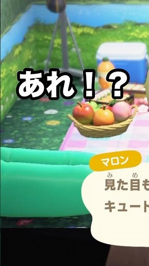 【あつ森】やった！！なんとなく住民の家に行ったらまさか…