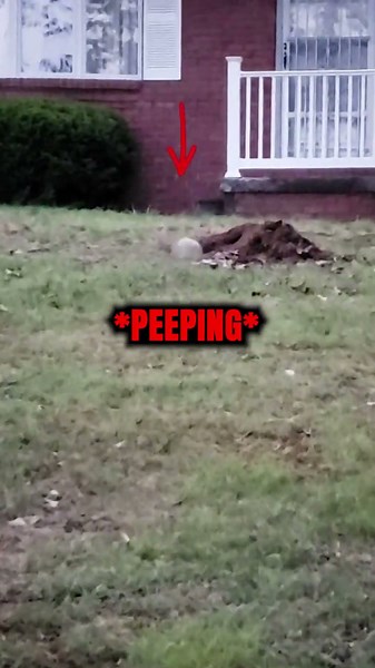 This Hole Shouldn't Exist...