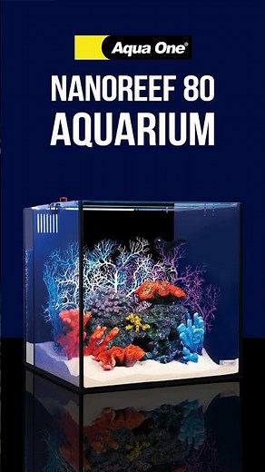Aqua One NanoReef 80 Aquarium #aquaone #marineaquarium #nanotank #aquarium #fishtank #reeftank