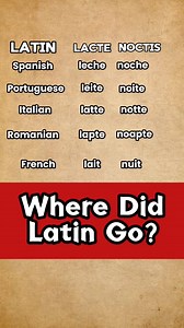 247K views · 4.8K reactions | What happened to Latin? The story of how Latin became today’s Romance languages of Spanish, Portuguese, Italian, Romanian, and French! #Language #history #learning #linguistics #rome #portuguese #brazil #spanish #romanian #romania | Lite Linguistics | Facebook