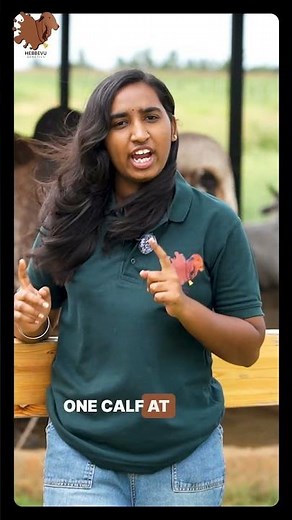 Strong herds grow through informed breeding and modern reproductive science, not overnight.