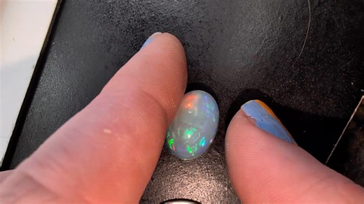 100 bones turkey day sale 5🚢 domestic | Appalachian Rocks