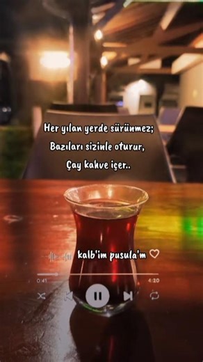 Her yılan yerde sürünmez; Bazıları sizinle oturur, Çay kahve içer..🩶🧭 #hayat #hayatadair #insan