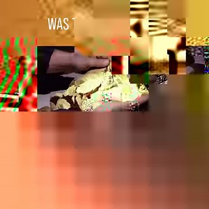 273K views · 11 reactions | Philip Grossman examines the remains of the Chernobyl restricted area to decide if the explosion was an accident or a sabotage. Watch more like this on discovery+ : https://bit.ly/3EuvruH | Love History | Facebook