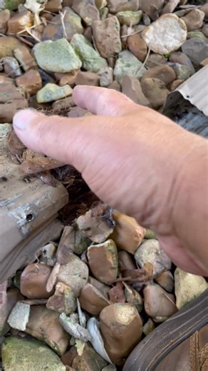 Midwest Gutter Cleaning, LLC on Instagram: "Gutter Pro Tip: Before assuming your downspout is clear, remove the extension. Most clogs happen right at the connection point — not underground. ✅ Quick check ✅ Prevents foundation issues Follow us for more home exterior prevention tips. @midwestguttercleaning"