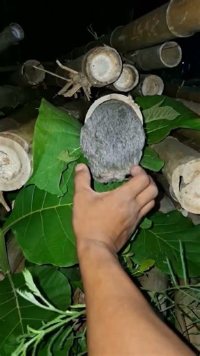 how do you get in? #vidioshorts #nature