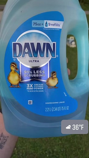 How to repel any bug! | Ceith Griffith