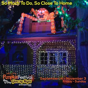 739 reactions · 249 shares | See Cinderella Fly! Tickets are just...