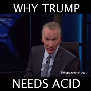 397K views · 2K reactions | "Let's build a fence that electrocutes...