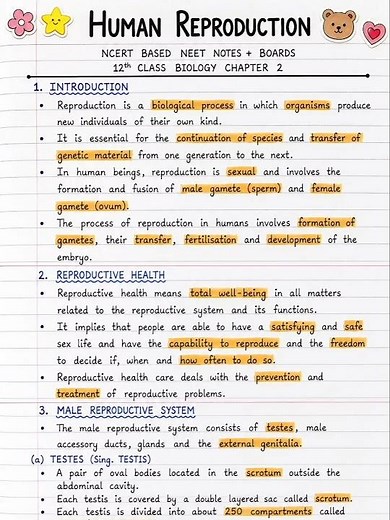 Human Reproduction Notes for Class 12 Biology | NCERT Based NEET Notes Chapter 2