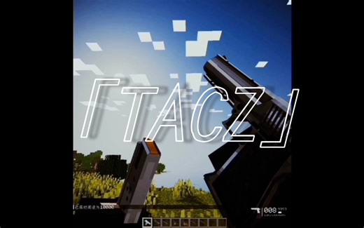 「TACZ」就是史）