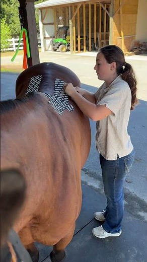 Equine Back Support Kinesiology Taping