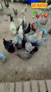 #GoodMorningEveryone #GoodVibesOnly #fb #FeatheredFriends #friends #everyone Funny Quotes for everyone | Lovelybernz Stringer