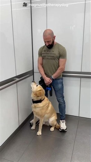 The Most Smartest Dog In The World 🐕🌍
