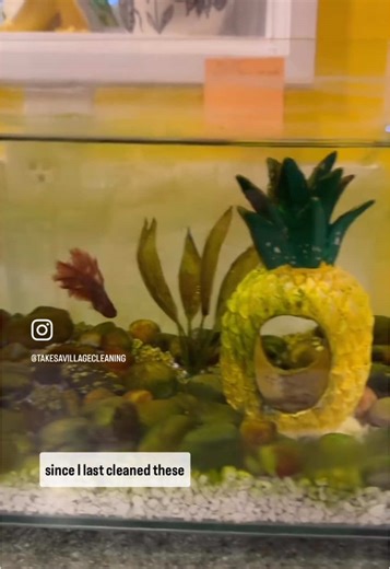 Takes a Village Cleaning on TikTok