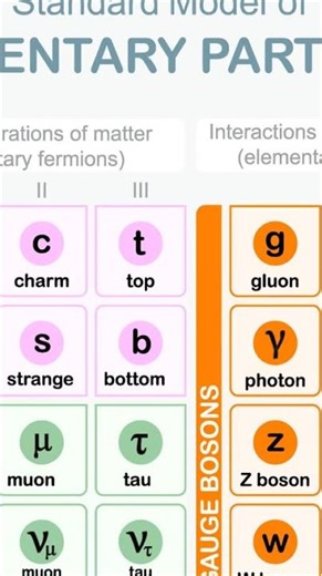 Charm Quarks