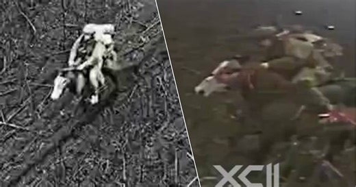 Des soldats russes se déplacent à cheval sur le front: “Complètement fou en 2025”