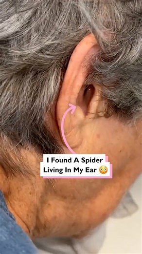 111K views · 166 reactions | This is my worst nightmare  | Four Nine | Facebook