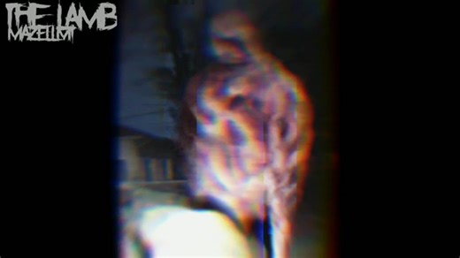 【音频】The lamb的声音