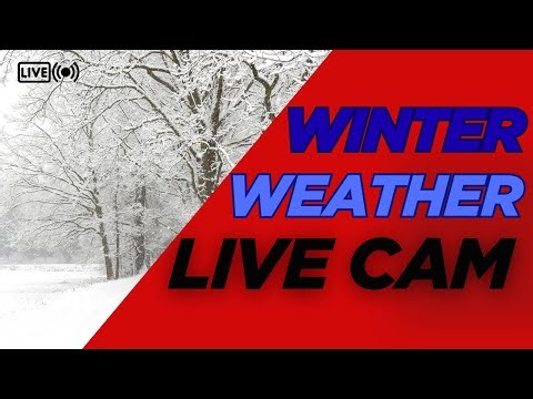 🔴LIVE: Winter Weather NOW: Snow Accumulation Cam