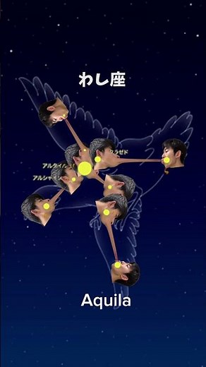 有名な星座たち
