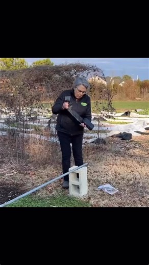 The biodegradable film that led me to scale my flower farming business. View 20’, 50’ and 100’ pieces in the Shop or visit TheGardenersWorkshop.com 🌱Allows me to make beds to hold fitting weather & schedules 🌱Blocks light the surface to prevent seeds from sprouting 🌱Eliminated almost all weeding chores. 🌱Film has a light and a black side to warm or cool 🌱Bio360 is 100% made with Novamont Mater-Bi certified compostable and soil biodegradable resins. 🌱Mater-Bi is certified to the highest int