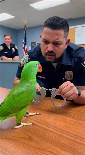Larry's Latest Antics: What's Your Favorite?