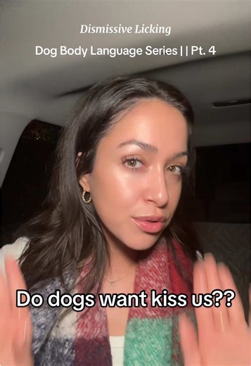 Understanding Dog Body Language: Kisses vs. Dismissive Licking