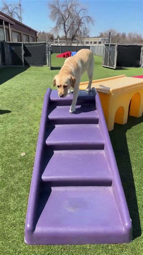 Hartley is in for final training!