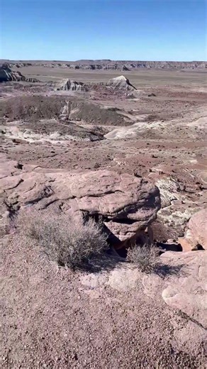 Mesmerizing Petrified Forest National park. Arizona. 让人着迷的化石森林国家公园