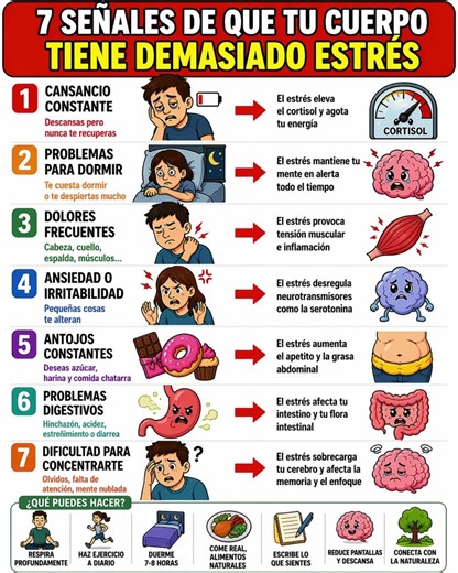 7 Señales de Que Tu Cuerpo Tiene Demasiado Estrés #saludmental #bienestar